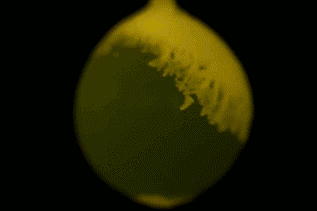 Etude des métaux réactifs à l&rsquo;état liquide sans contact, par lévitation acoustique